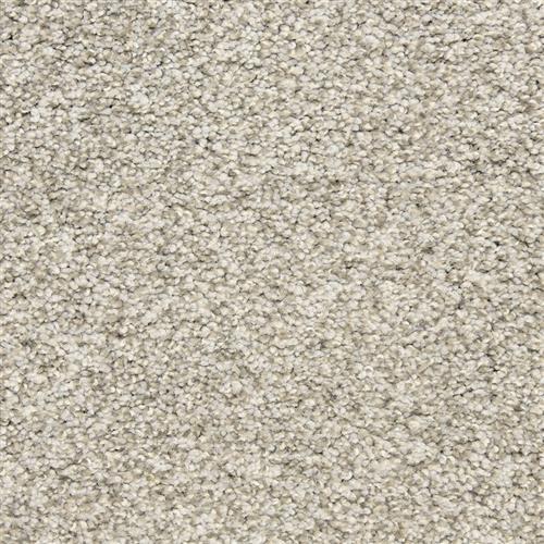 Rochelle D013 in 83120 Titanium   Carpet Flooring | Dixie Home