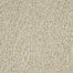 New Age D031 in 13112 Windfall   Carpet Flooring | Dixie Home