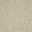 New Age D031 in 13112 Windfall   Carpet Flooring | Dixie Home