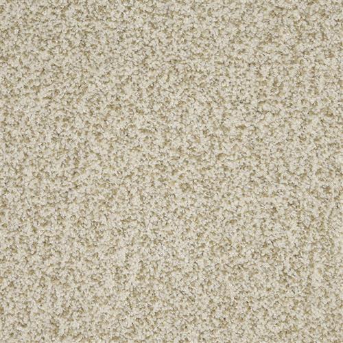 New Age Carpet Flooring | DH Floors