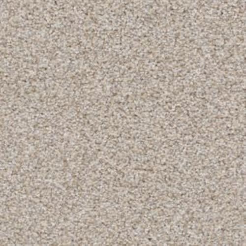 Top Dog Carpet Flooring Dixie Home — DH Floors