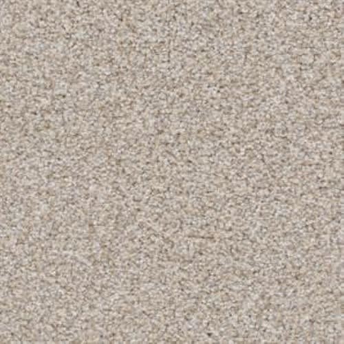 Top Dog D060 in 75745 Shar Pei  Carpet Flooring | Dixie Home