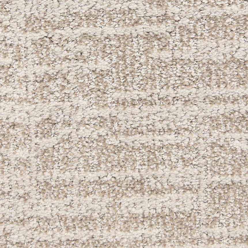 Expressions Carpet Flooring DH Floors