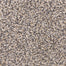 Katies Comfort D019 in 35234 Yosemite   Carpet Flooring | Dixie Home