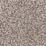 Katies Comfort D019 in 35234 Yosemite   Carpet Flooring | Dixie Home