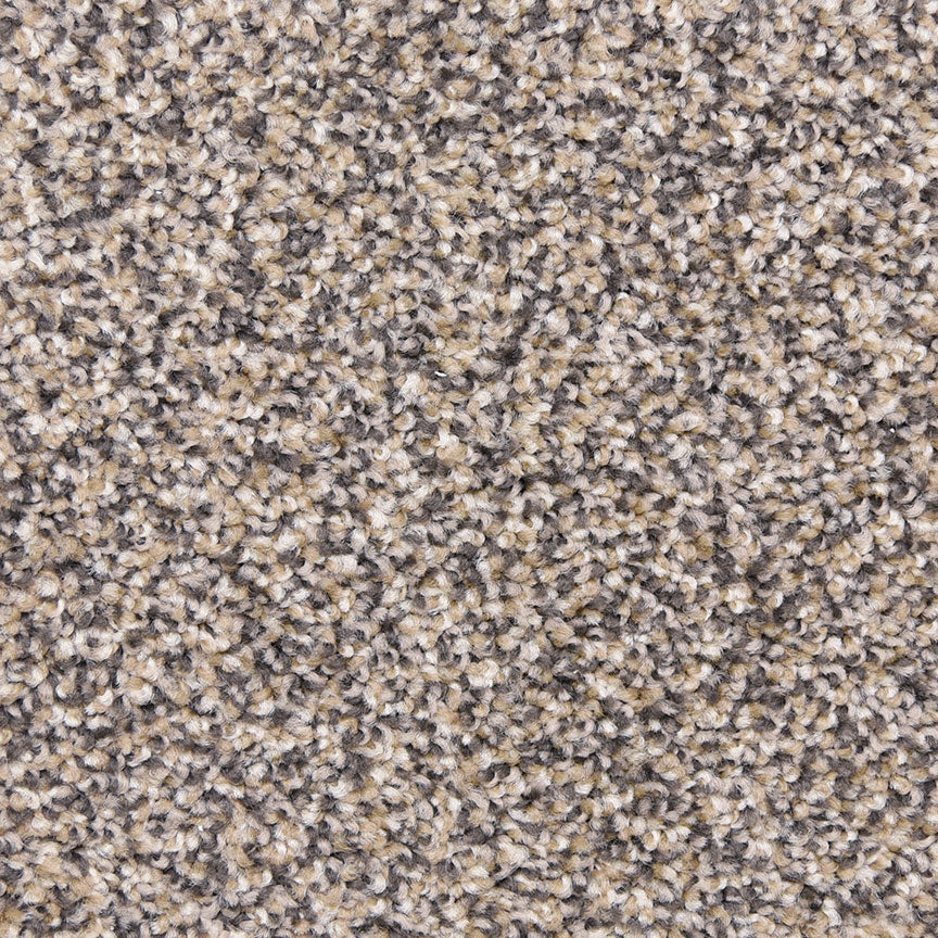 Katies Comfort D019 in 35234 Yosemite   Carpet Flooring | Dixie Home