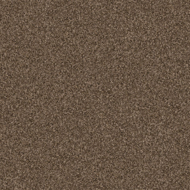 Labrador
