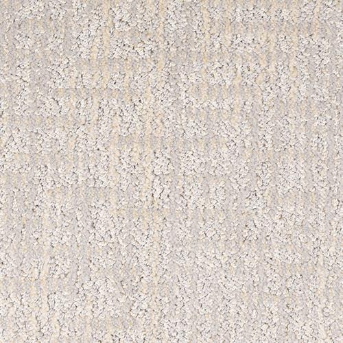 Teton D017 in 21832 Scenic Drive  Carpet Flooring | Dixie Home