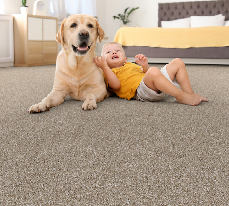 Top dog discount products