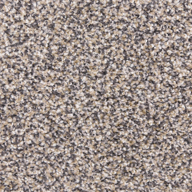 Star Power D020 in 35234 Yosemite   Carpet Flooring | Dixie Home