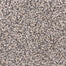 Star Power D020 in 35234 Yosemite   Carpet Flooring | Dixie Home