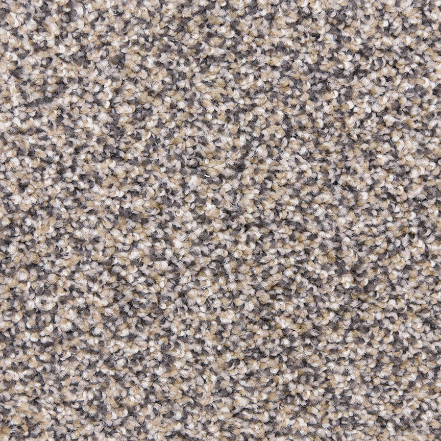 Star Power D020 in 35234 Yosemite   Carpet Flooring | Dixie Home