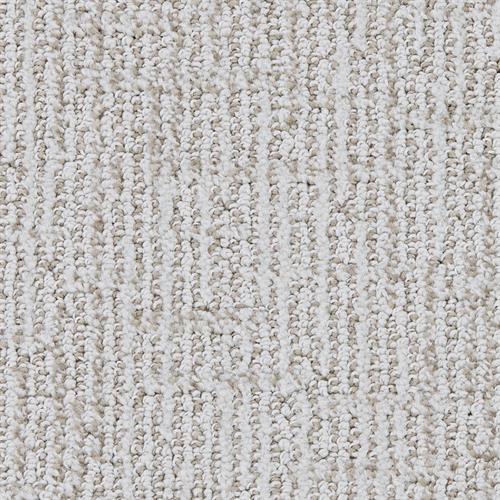 Pop Art D043 in 32049 Tarnished   Carpet Flooring | Dixie Home