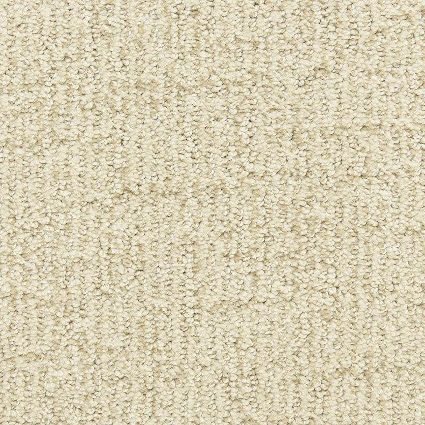 Teton Carpet Flooring  Dixie Home — DH Floors