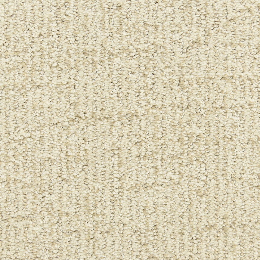 Victor D009 in 13112 Windfall Carpet Flooring by Dixie Home