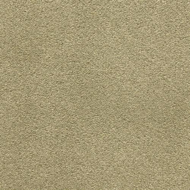 Grand Isle 8793 in 59749 Willow   Carpet Flooring | Dixie Home