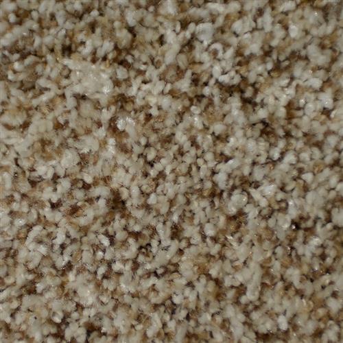 Brilliance | Carpet Flooring | Dixie Home — DH Floors